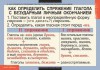 Комплект таблиц "Русский язык 5 класс" ( 13 таб.) - klass.market - Москва