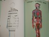 Книга-атлас по анатомии человека для изучения в школе - klass.market - Москва