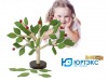 Монтессори 3D головоломка "Дерево" - klass.market - Москва