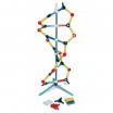 Маленькая модель ДНК - klass.market - Москва