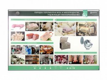 Электрифицированный стенд «Порядок переработки мяса и мясопродуктов, подлежащих обеззараживанию» - klass.market - Москва