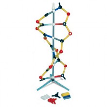 Маленькая модель ДНК - klass.market - Москва