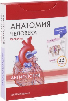 Анатомия человека. Ангиология (набор из 45 карточек) - klass.market - Москва