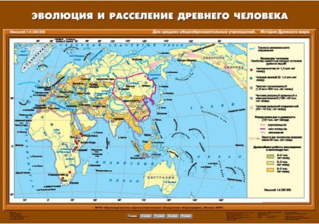 Карта "Эволюция и расселение древнего человека" - klass.market - Москва