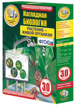 Наглядная биология. Растение - живой организм - klass.market - Москва