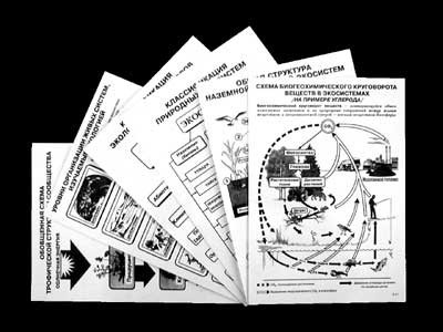 Комплект таблиц по экологии "Экосистема-экологическая единица окружающей среды" (ламинир, А4,12шт) - klass.market - Москва