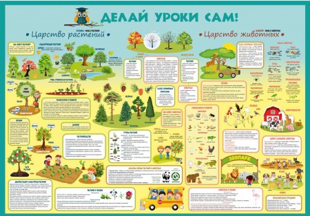 Плакат для начальной школы "Окружающий мир" - klass.market - Москва
