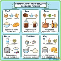 Новинка! Комплект электронных плакатов, тестов, проектных заданий, кроссвордов "Биотехнологии и пищевое производство"  - klass.market - Москва